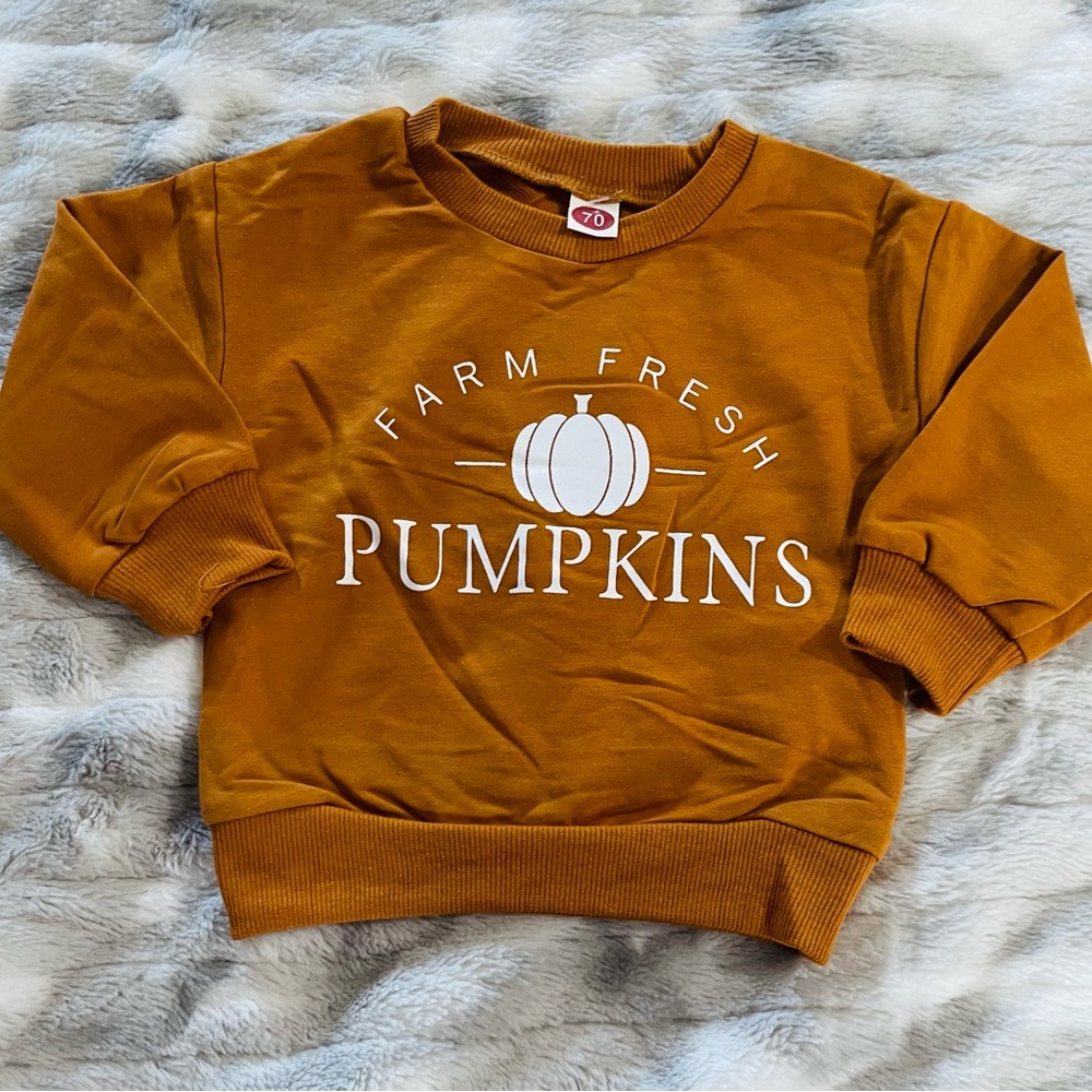 Farm Fresh Pumpkins Long Sleeve Tee - Brown